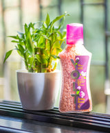 Spring Bloom- Limited Edition Laundry Fragrance Boosters- Subscription