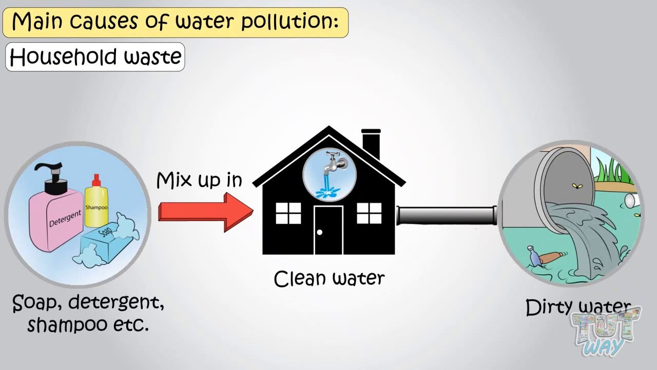 How Do Detergents Pollute Water