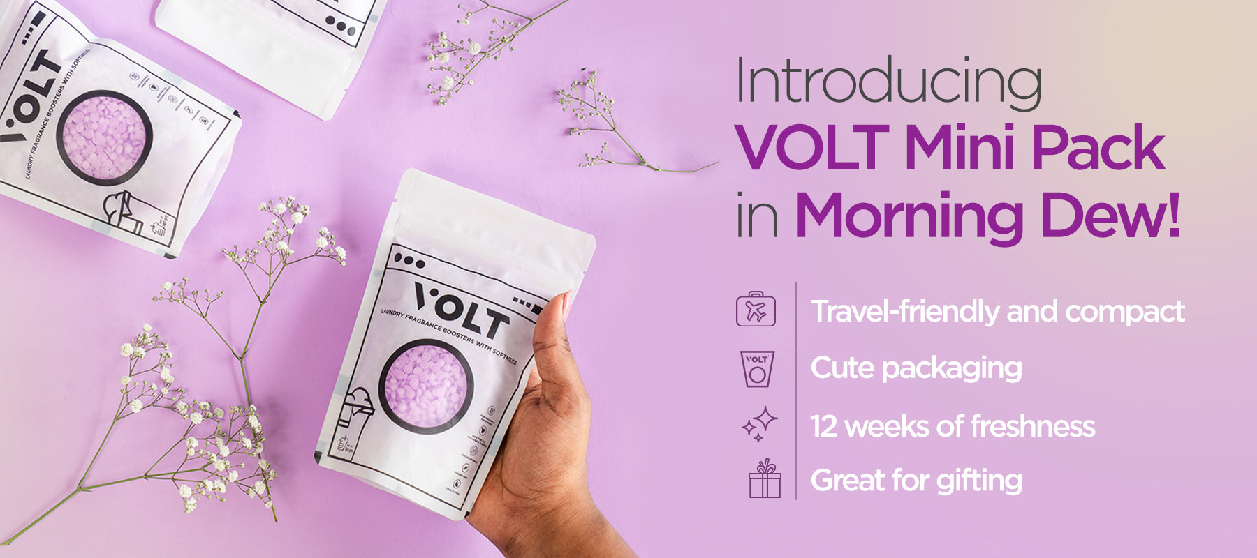 Volt Website VOLT HOME